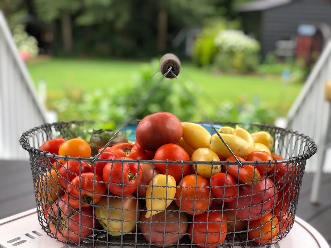 I'm Dreaming of Heirloom Tomatoes